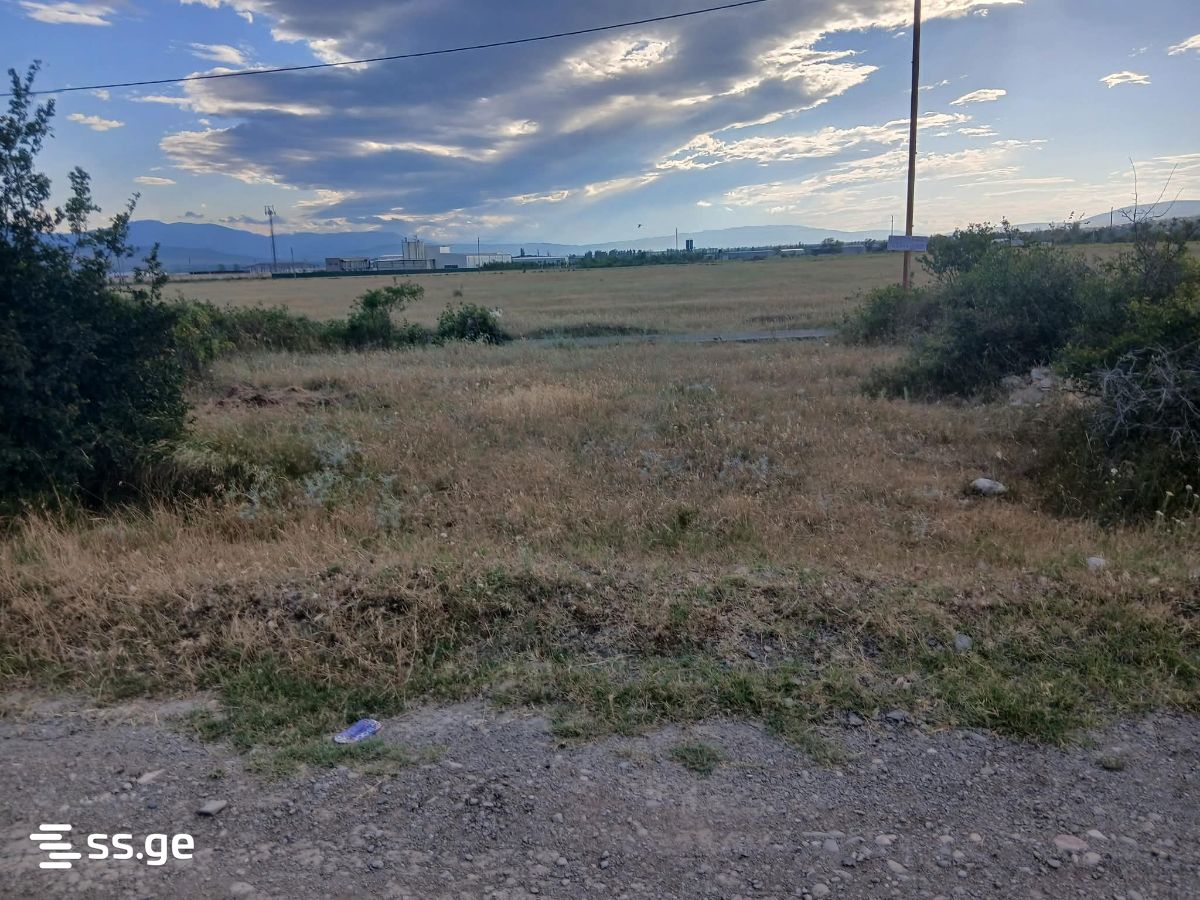 Land For Sale. Natakhtari view 6