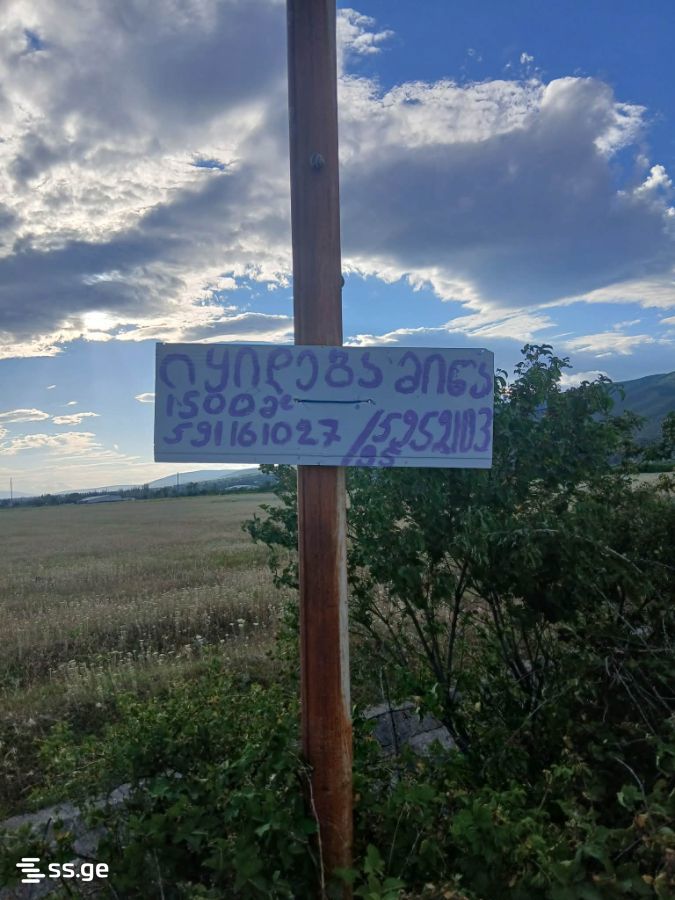 Land For Sale. Natakhtari view 2