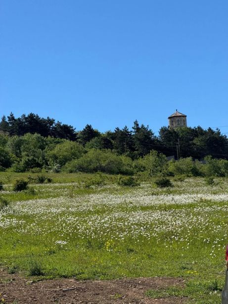 https://static.ss.ge/20260721/16_c2a2dc31-a48a-430c-bc03-151feace2600_Thumb.jpg