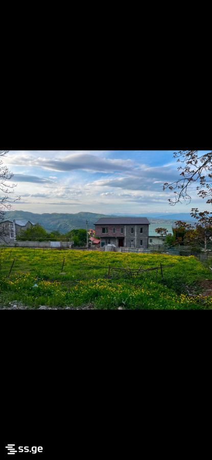 იყიდება მიწა ბეტანიაში view 2