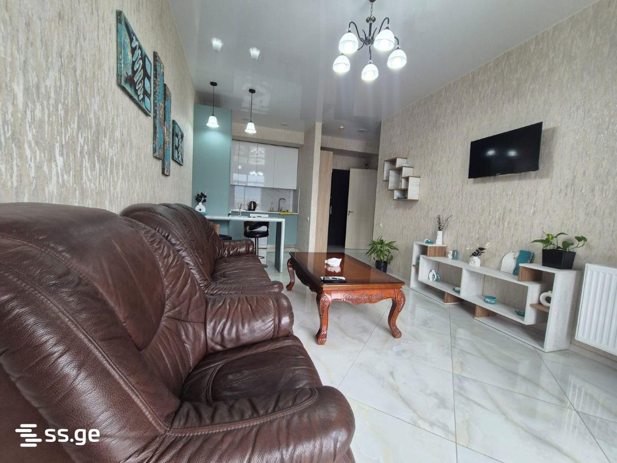 2 Room Flat Daily Rent. Gldani view 13