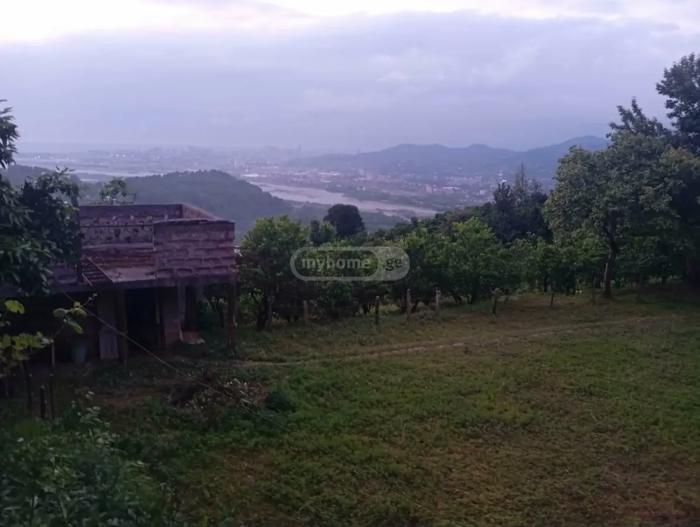 https://static.ss.ge/20260721/8_2a48997e-3888-4da8-a502-555506c05f5b_Thumb.jpg