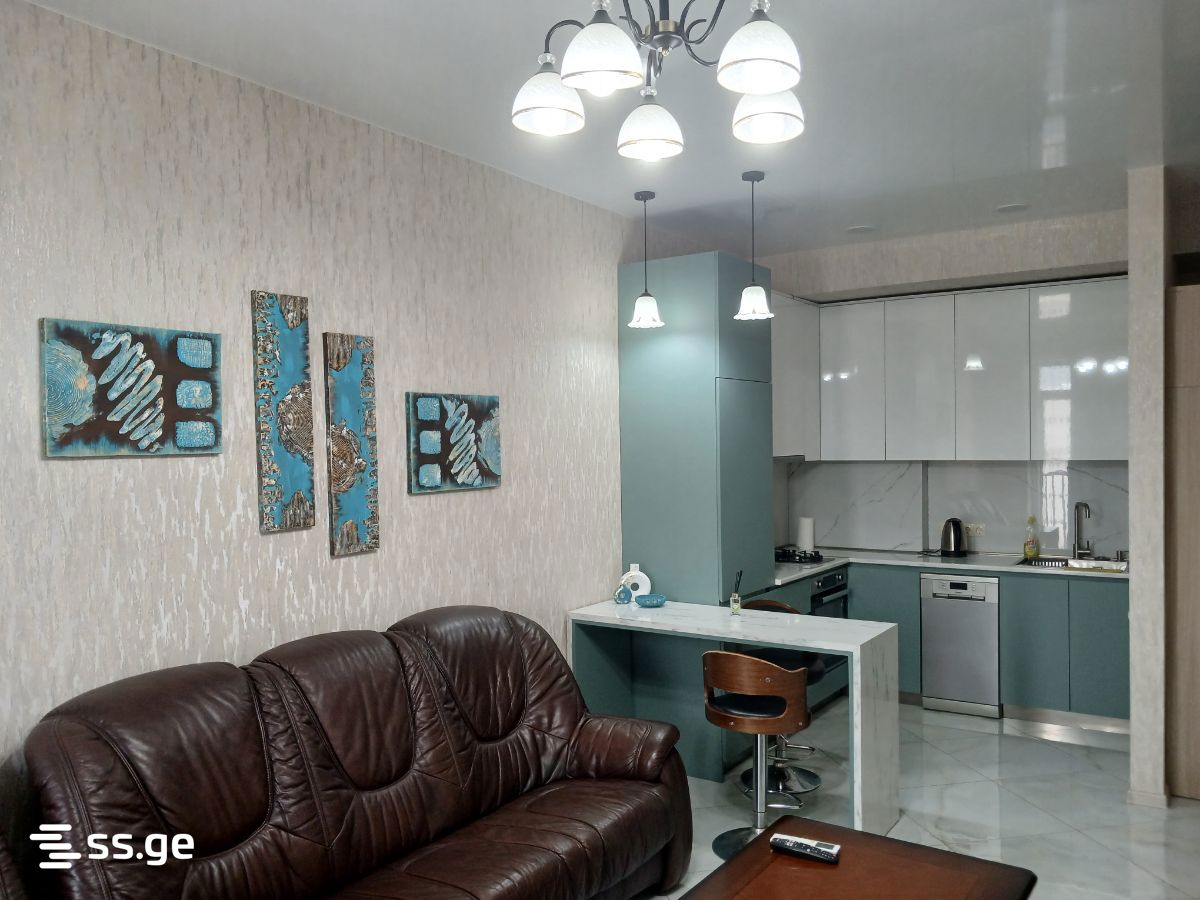 2 Room Flat Daily Rent. Gldani view 9