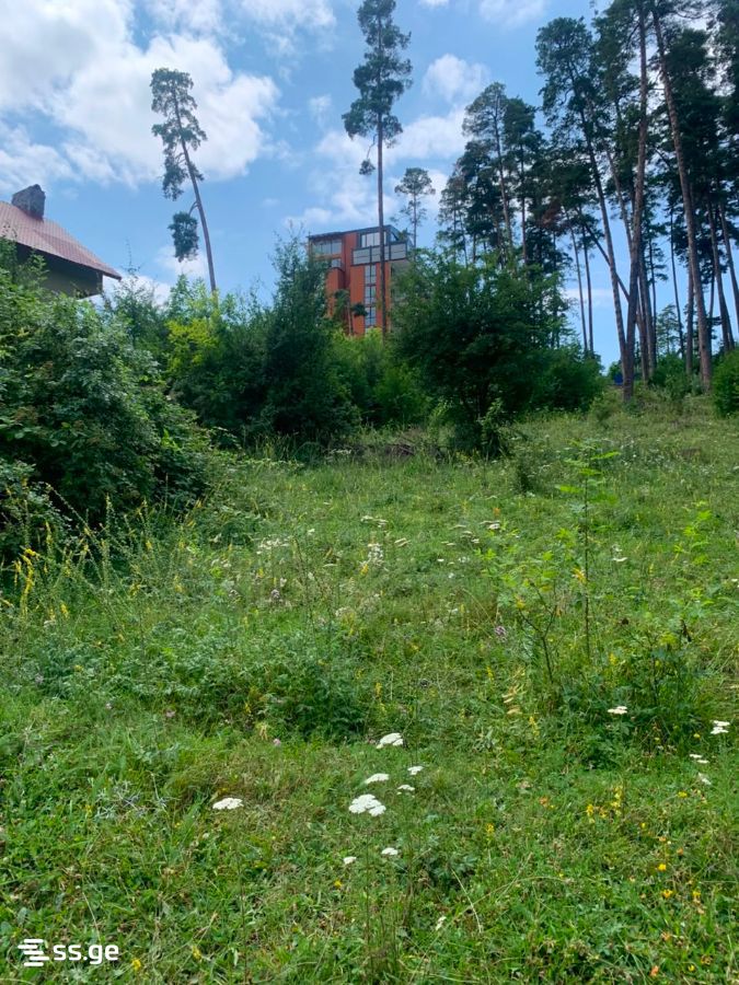 Land For Sale. Borjomi view 2