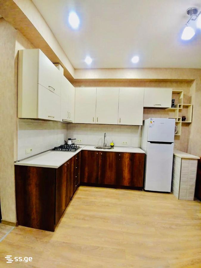 3 room Flat For Rent. Chugureti – další