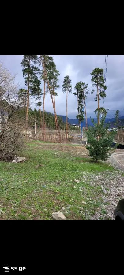 Land For Sale. Borjomi view 9