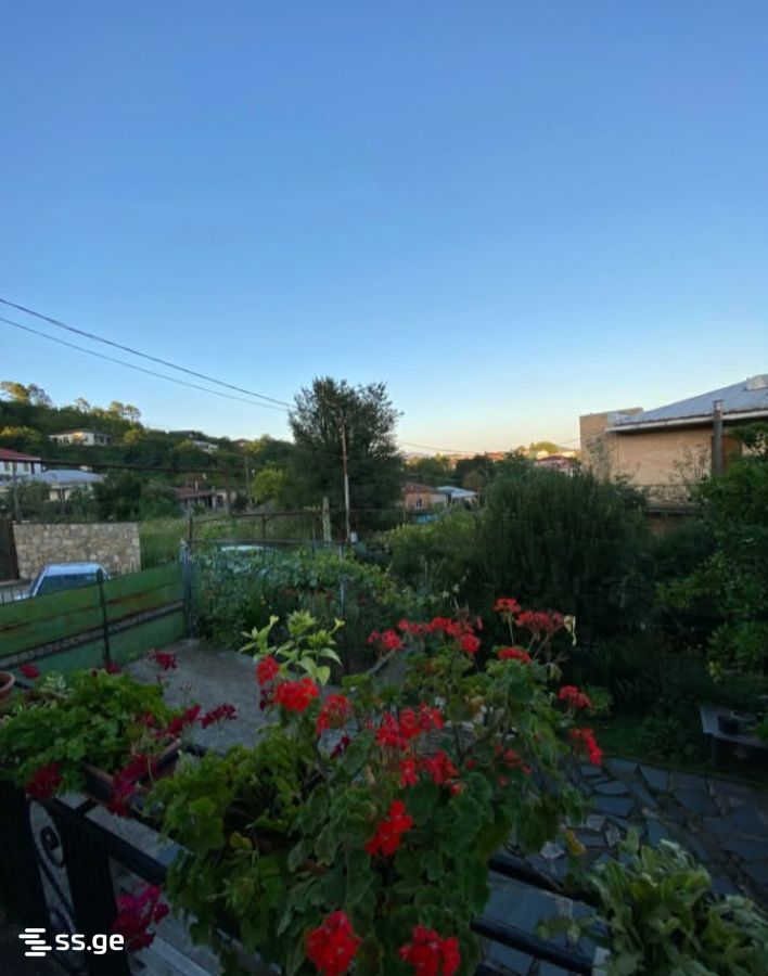 1 Room Private House Daily Rent. Kutaisi view 4
