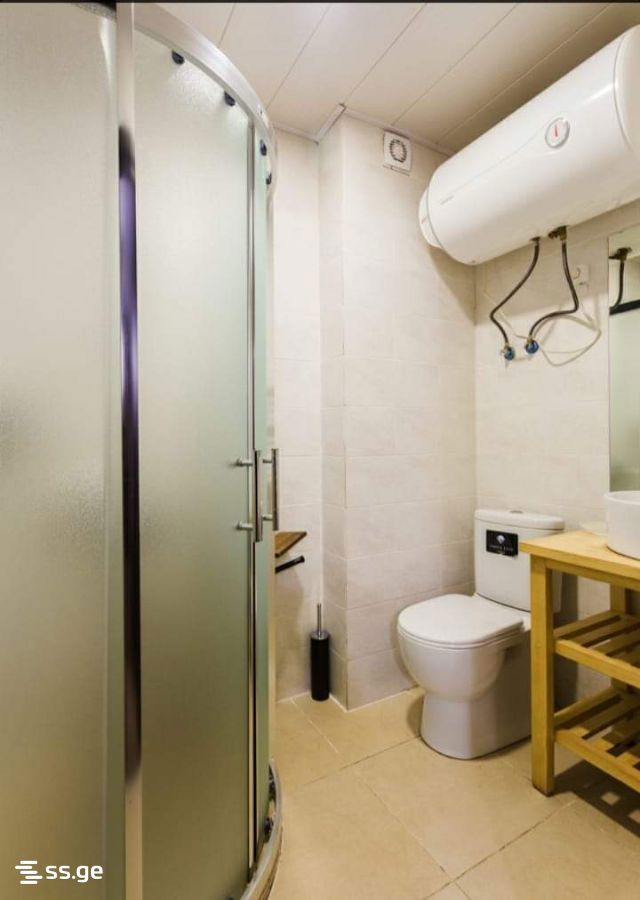 1 Room Flat For Rent. Bakuriani view 6