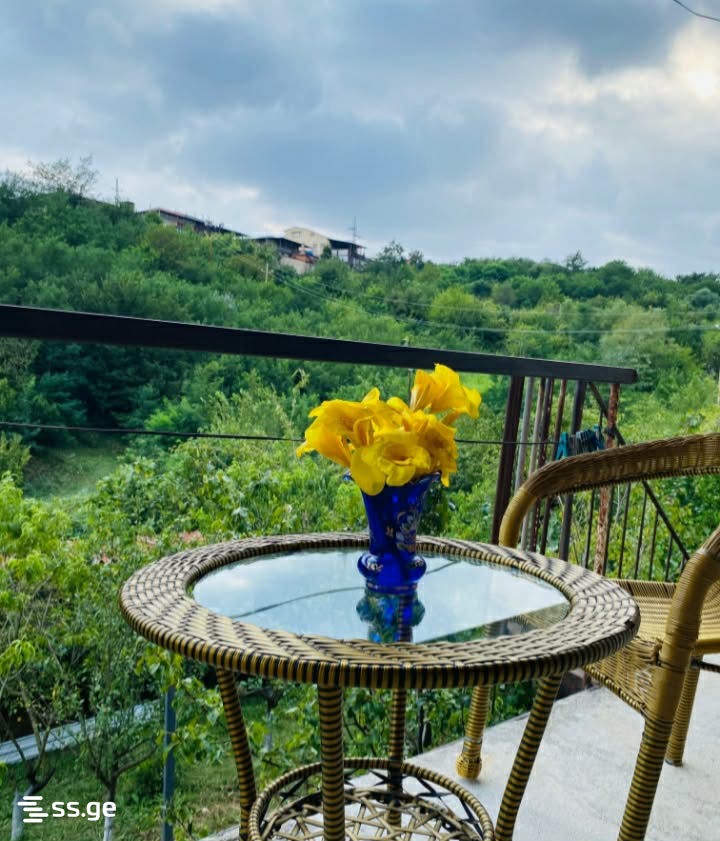1 Room Private House Daily Rent. Kutaisi view 3