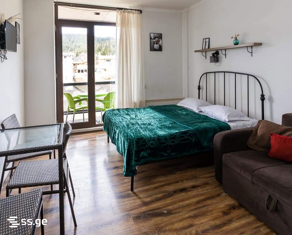 1 Room Flat For Rent. Bakuriani view 1