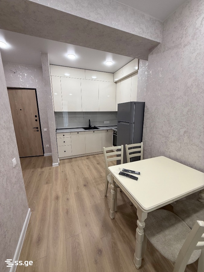 2 room Flat For Rent. Didi digomi - Widok 3
