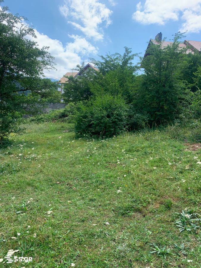 Land For Sale. Borjomi view 4