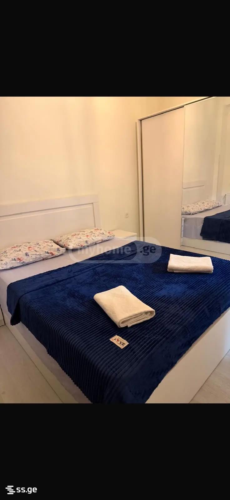 2 room Flat Daily rent. Didube - Ansicht 4