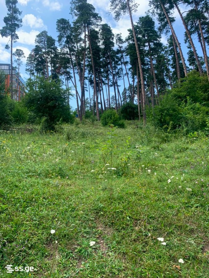 Land For Sale. Borjomi view 1