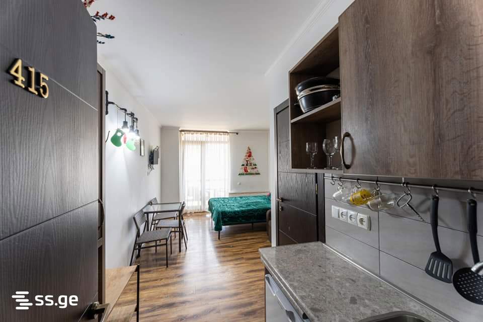 1 Room Flat For Rent. Bakuriani view 2