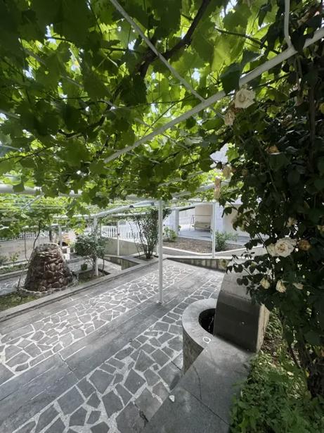https://static.ss.ge/20260722/5_a6551df4-14a1-47a1-aaa0-98b098349778_Thumb.jpg