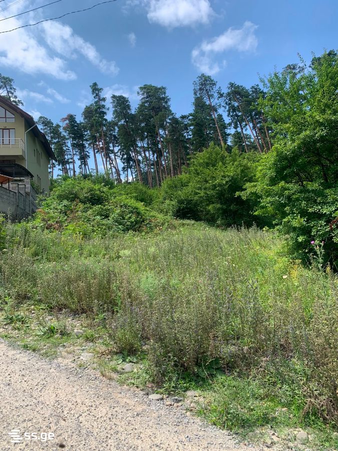 Land For Sale. Borjomi view 11