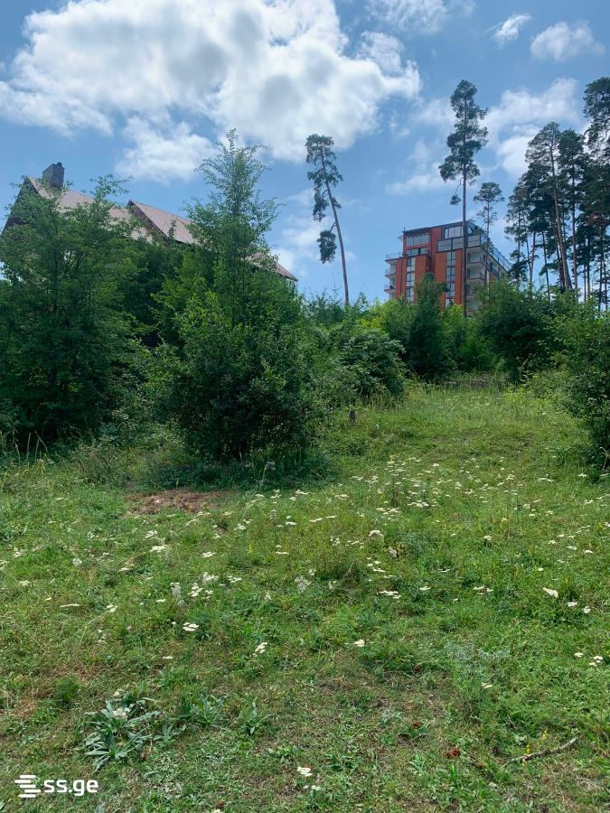 Land For Sale. Borjomi view 13