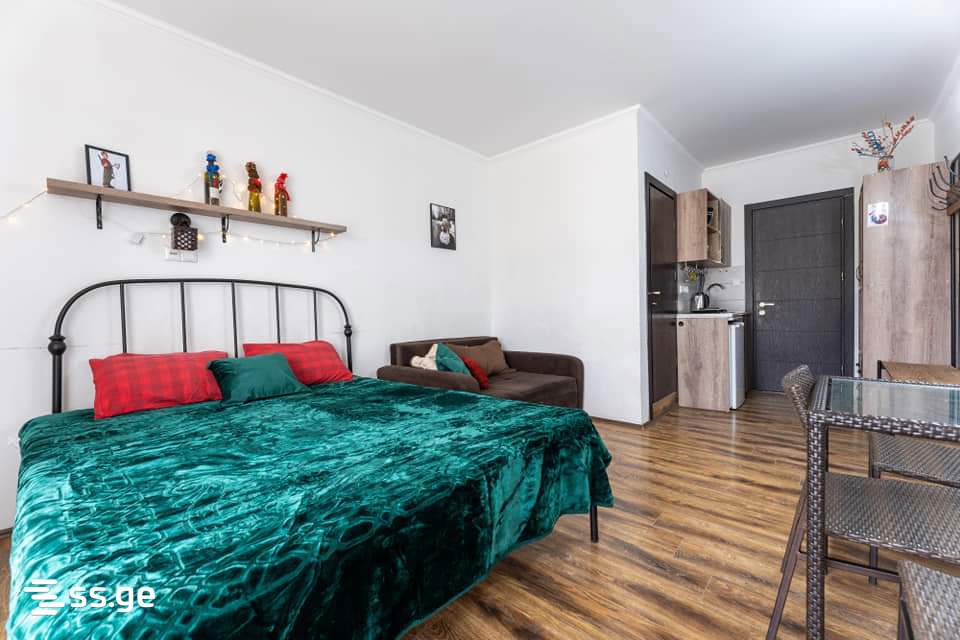 1 Room Flat For Rent. Bakuriani view 4