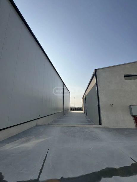 https://static.ss.ge/20260723/11_d10e6ff9-2890-4cb6-a51e-4d74458eff4d_Thumb.jpg