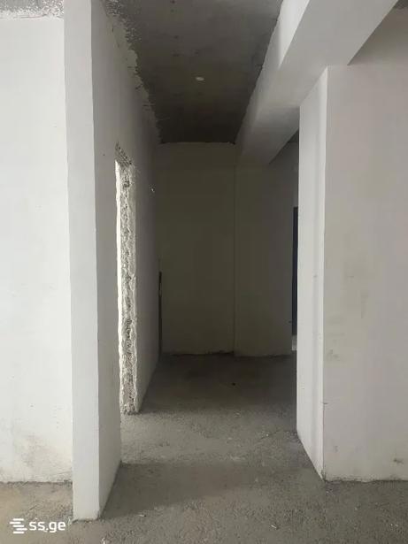 https://static.ss.ge/20260723/12_8b70d101-8ac6-495b-9b56-721036d944d2_Thumb.jpg