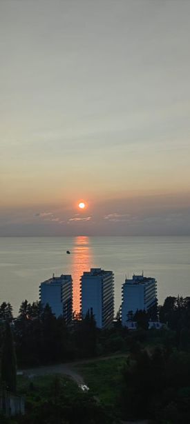 https://static.ss.ge/20260723/17_539df1bc-181a-420f-b05d-32d799138989_Thumb.jpg