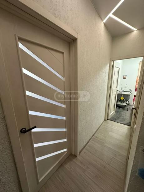 https://static.ss.ge/20260723/19_4ddbac85-a975-40f7-bc14-4de5fbfc1ca2_Thumb.jpg