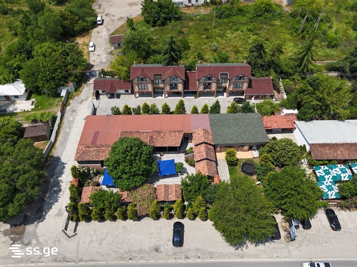 Hotel For Sale. Natakhtari view 1
