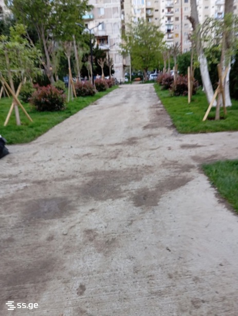 https://static.ss.ge/20260723/2_bbdada21-2b6f-4776-a192-0db67040cd10_Thumb.jpg