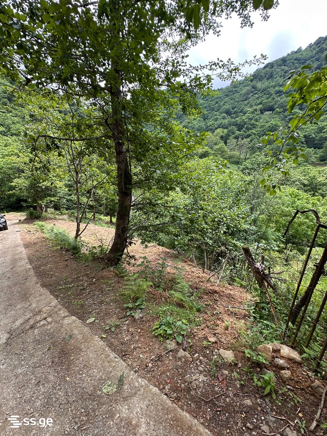 Land For Sale. Chaqvi view 10