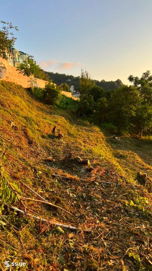 Land For Sale. Kvariati view 2