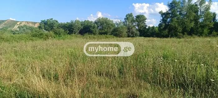 https://static.ss.ge/20260724/17_0bc82d8d-d79f-45b0-85be-c7b900f1688b_Thumb.jpg