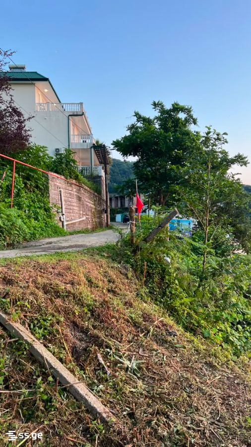 Land For Sale. Kvariati view 4