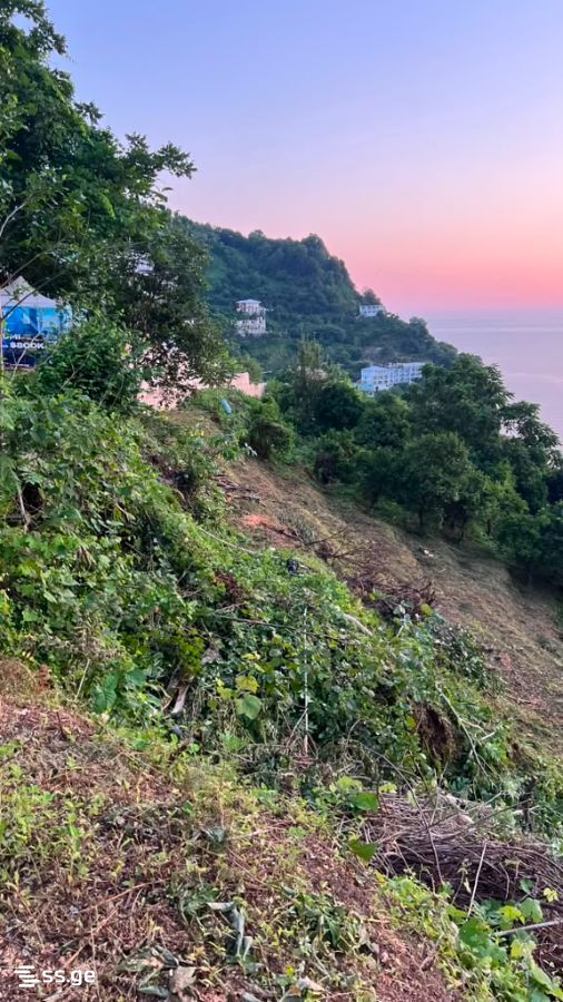 Land For Sale. Kvariati view 3