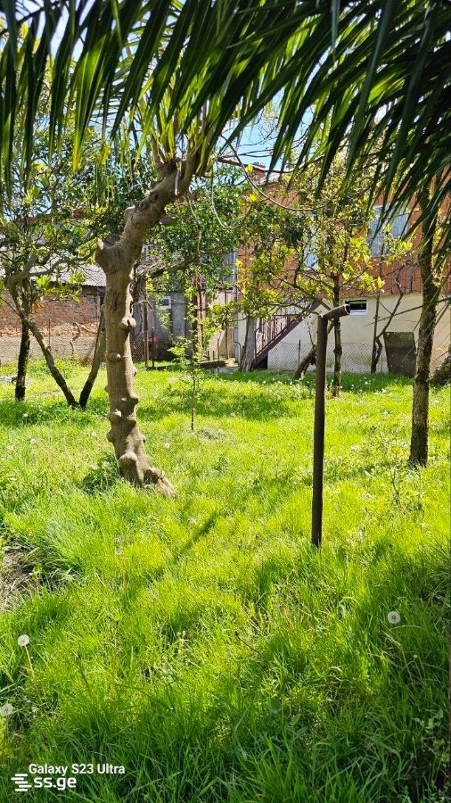 5 Room Private House For Sale view 1