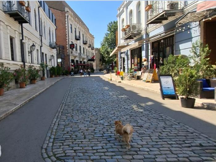 https://static.ss.ge/20260724/5_bda7c9de-7b06-497d-a36e-98cc3f2d643c_Thumb.jpg