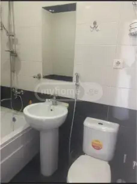 https://static.ss.ge/20260724/6_12accad3-64db-4a52-8884-c89a90d5e248_Thumb.jpg