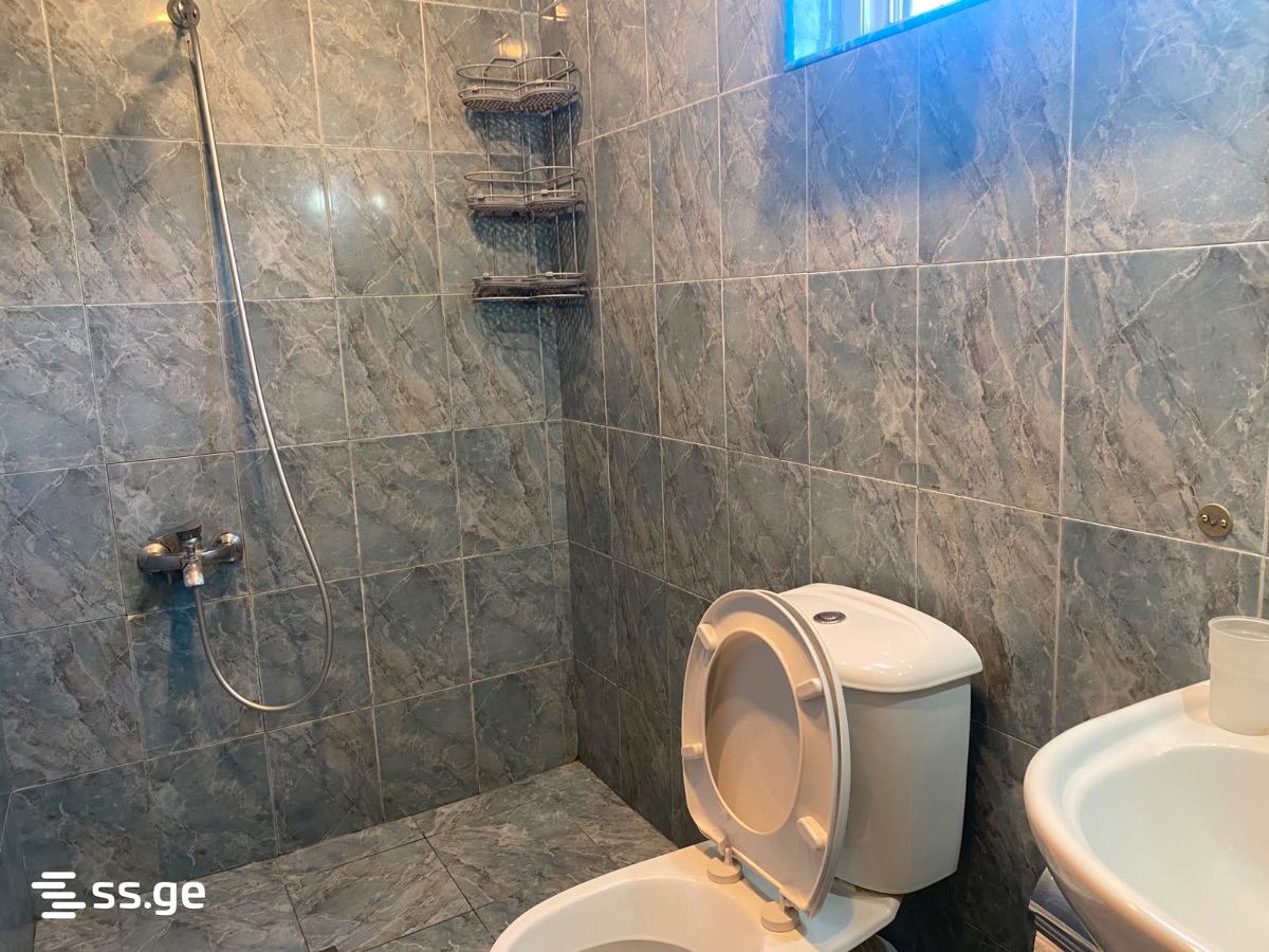 7 Room Private House Daily Rent. Shekvetili view 4