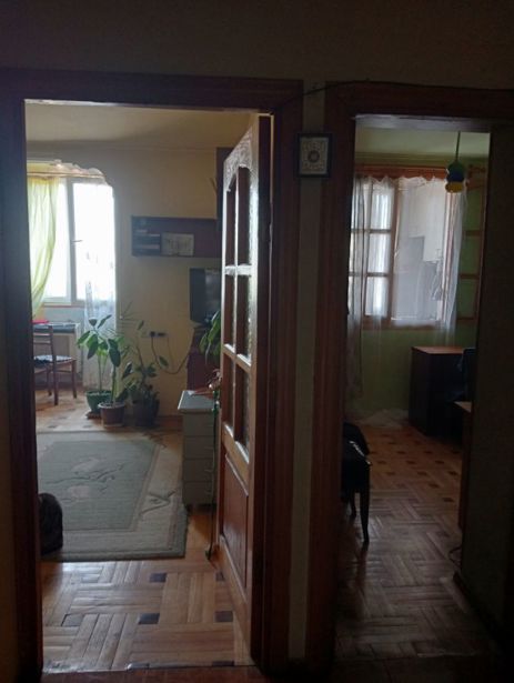 https://static.ss.ge/20260725/12_4eca430b-b56c-46c1-a4ae-5a43bc31536c_Thumb.jpg