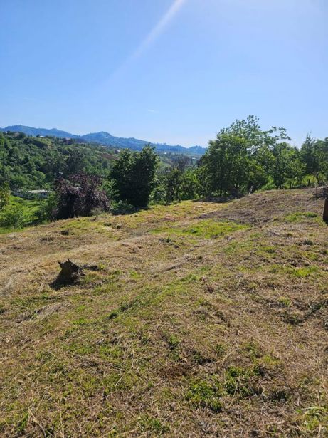 https://static.ss.ge/20260725/19_c10f9a29-9f36-482d-979c-48a96d45a1a1_Thumb.jpg