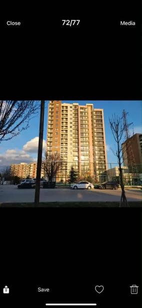 https://static.ss.ge/20260725/4_6226e6d1-22b9-4597-b953-1d8089ba72d8_Thumb.jpg