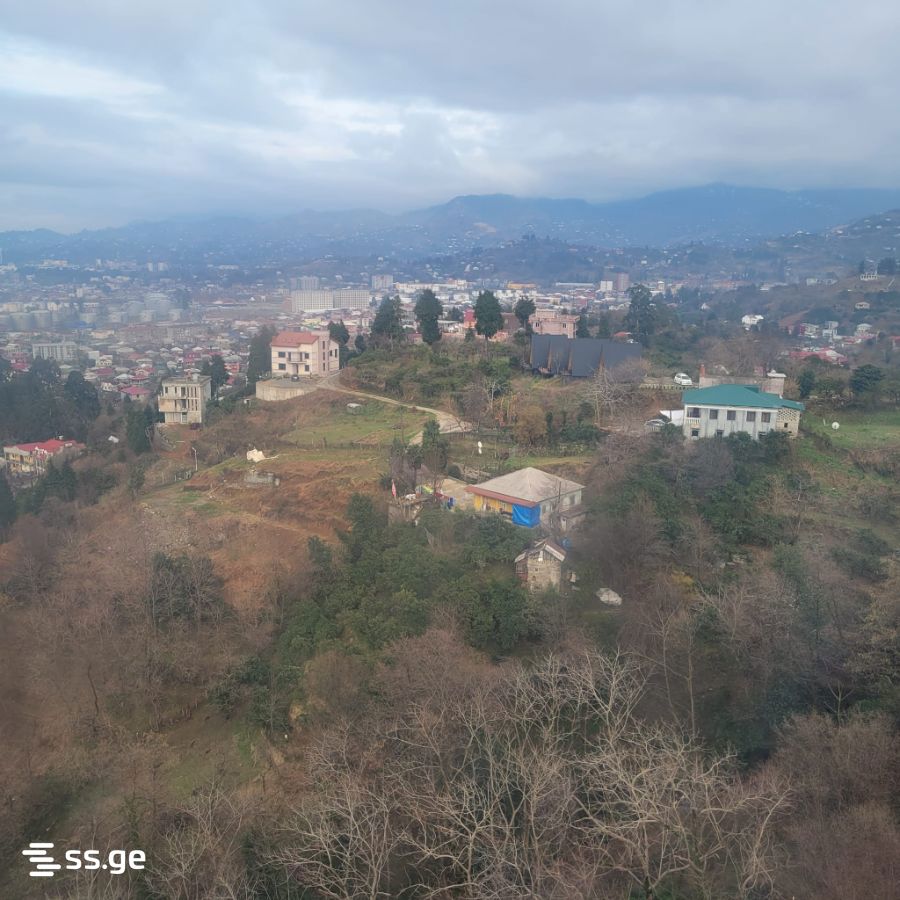 Продажа Земля в хелвачаури view 2