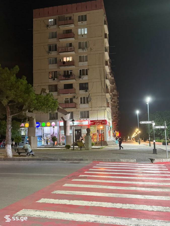 Shopping Property For Sale. Rustavi view 2