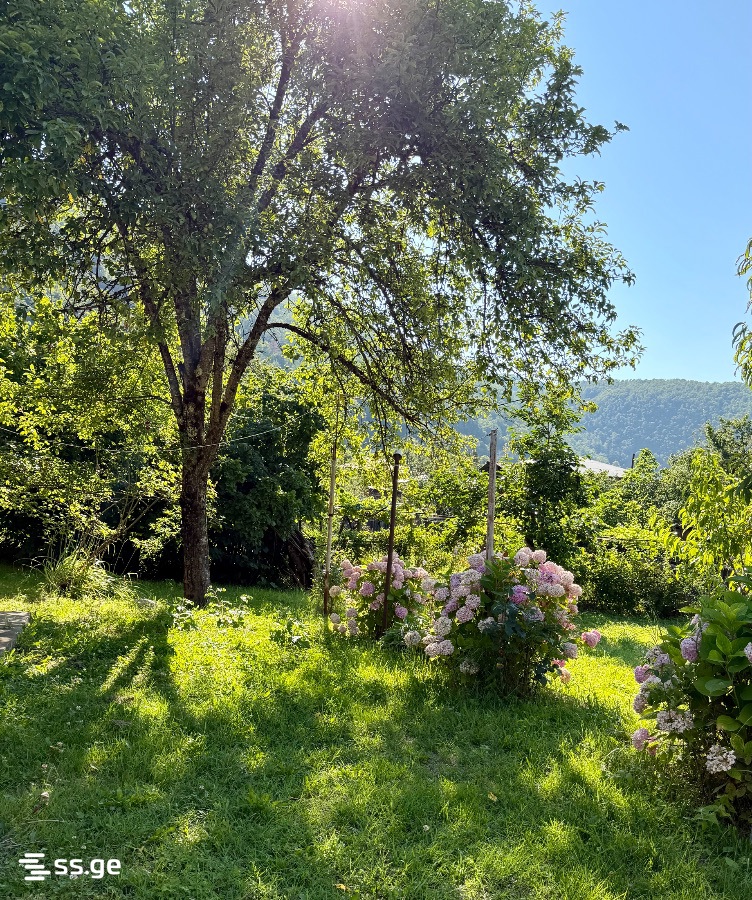 3 Room Private House Daily Rent. Ambrolauri view 10