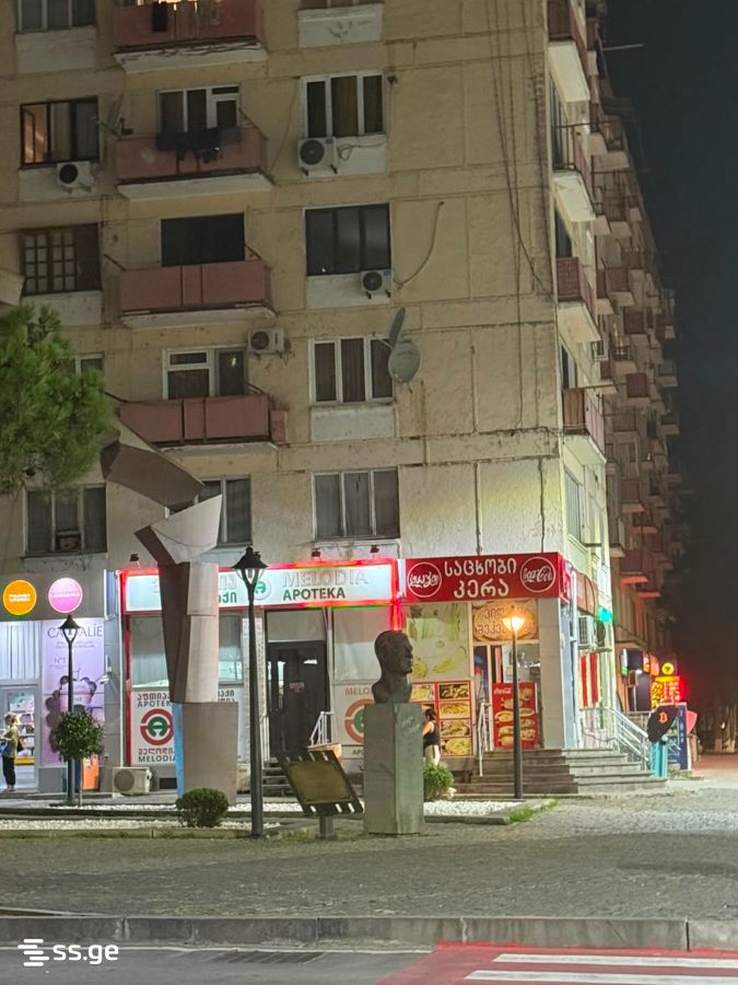 Shopping Property For Sale. Rustavi view 1