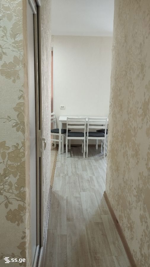 2 Room Flat Daily Rent. Tskaltubo view 6