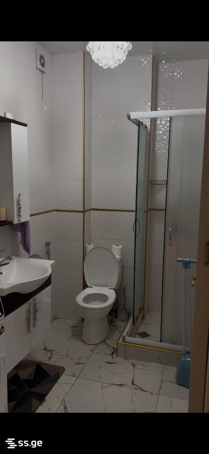 2 room Flat For Rent. Digomi - Vista 3