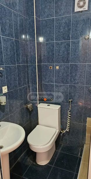 https://static.ss.ge/20260726/13_e87f8444-2a92-40f9-81a9-2261a8a01e26_Thumb.jpg