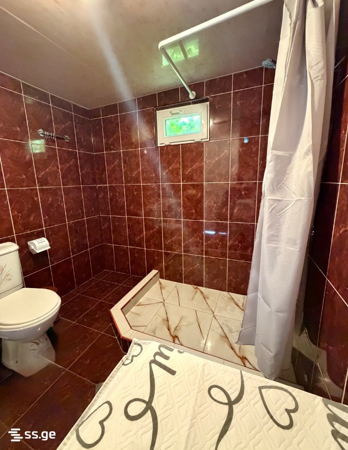 3 Room Private House Daily Rent. Ambrolauri view 2