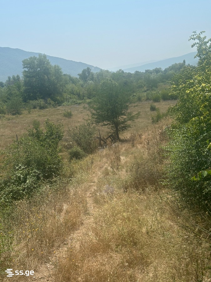 იყიდება მიწა ნატახტარიში view 4
